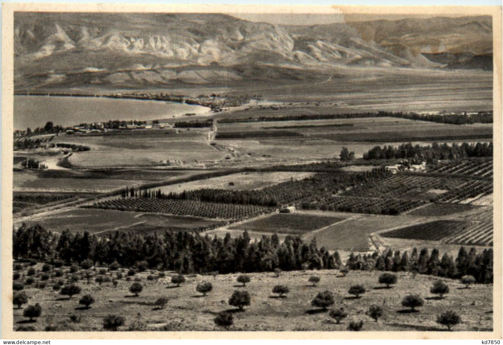 Israel - Jewish Settlements In The Jordan Valley - Israel