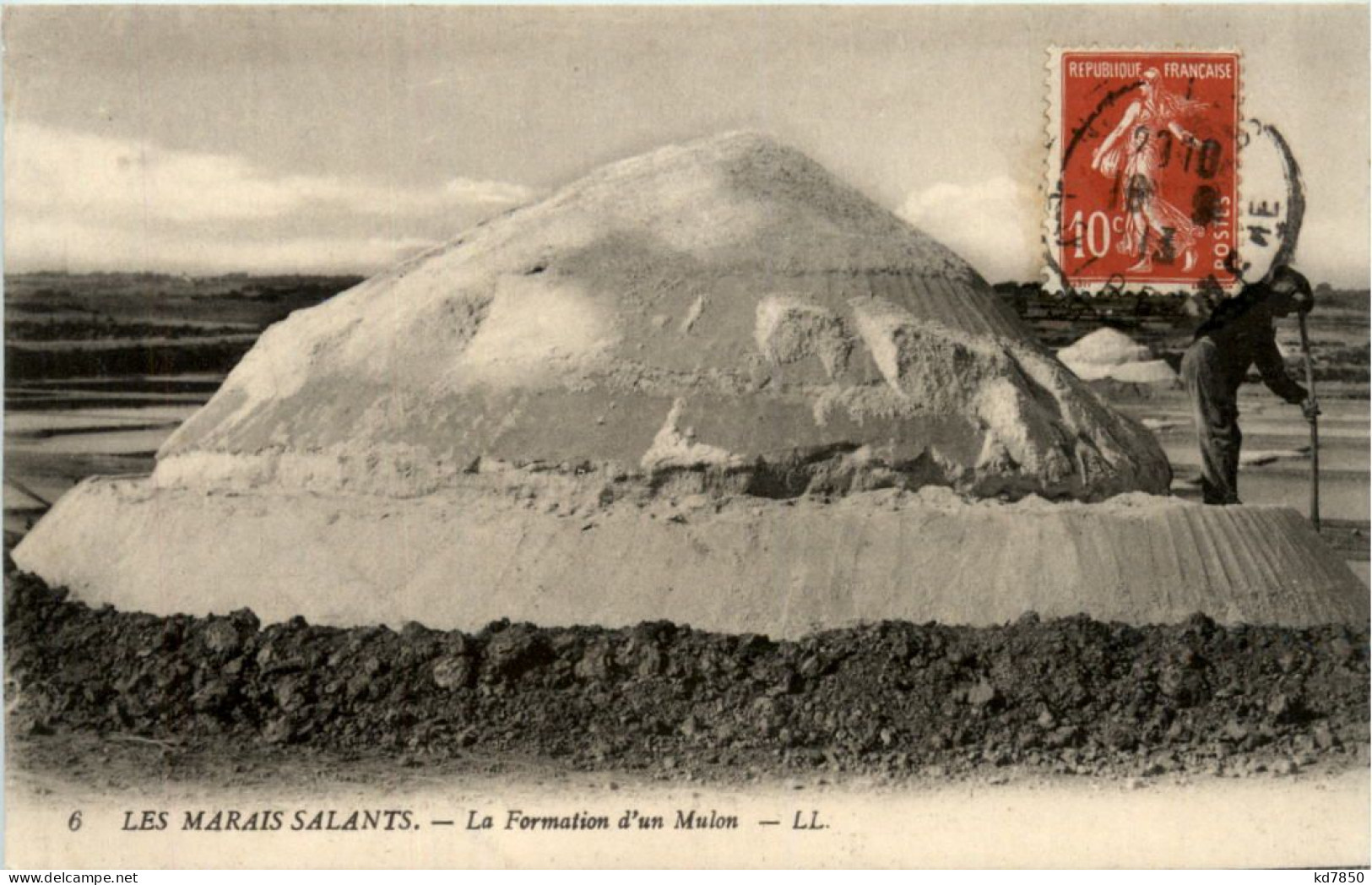 Les Mairais Salants - Cultivation