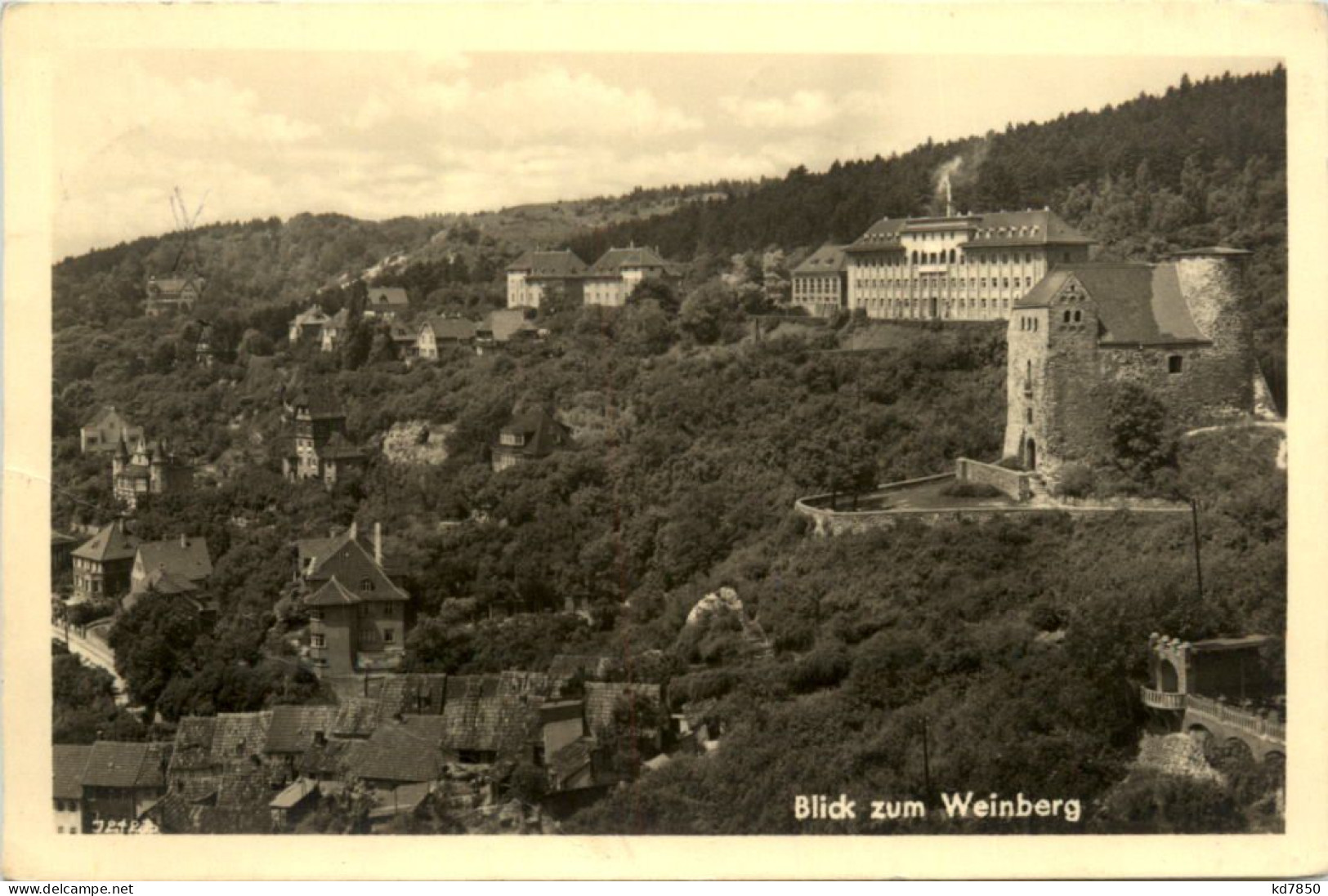 Solbad Frankenhausen/kyffh., Blick Zum Weinberg - Bad Frankenhausen