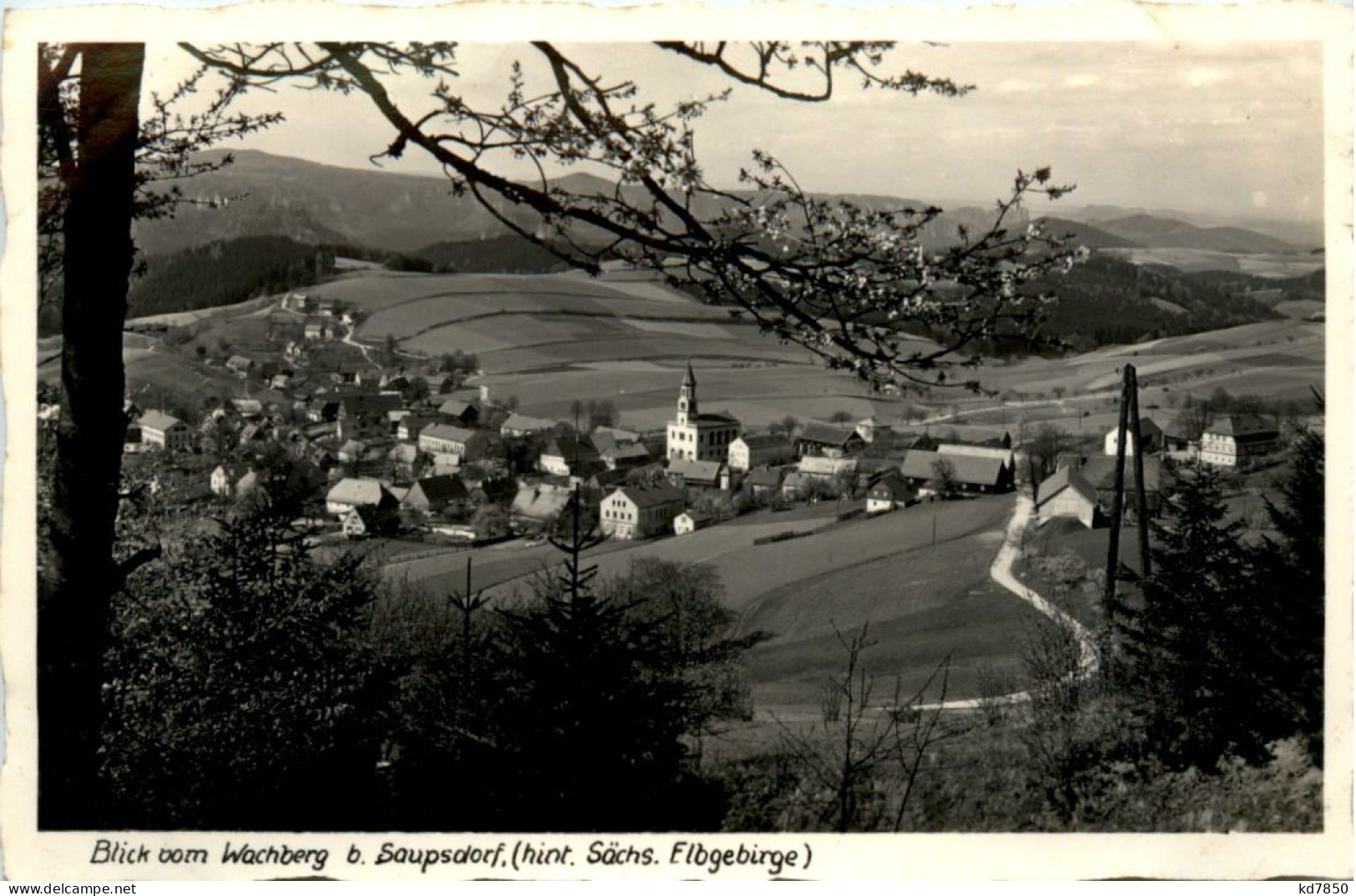 Blick V. Wachberg B. Saupsdorf - Sebnitz