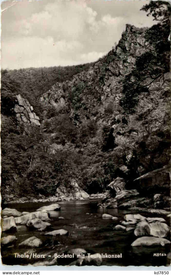 Thale, Bodetal Mit Teufelskanzel - Thale