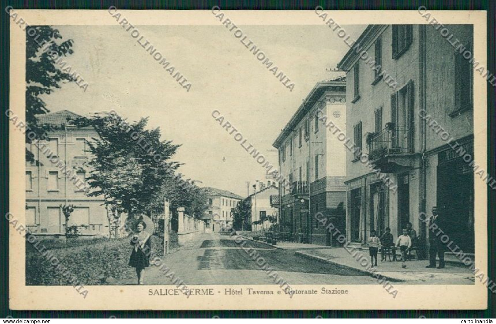 Pavia Salice Cartolina EE5684 - Pavia