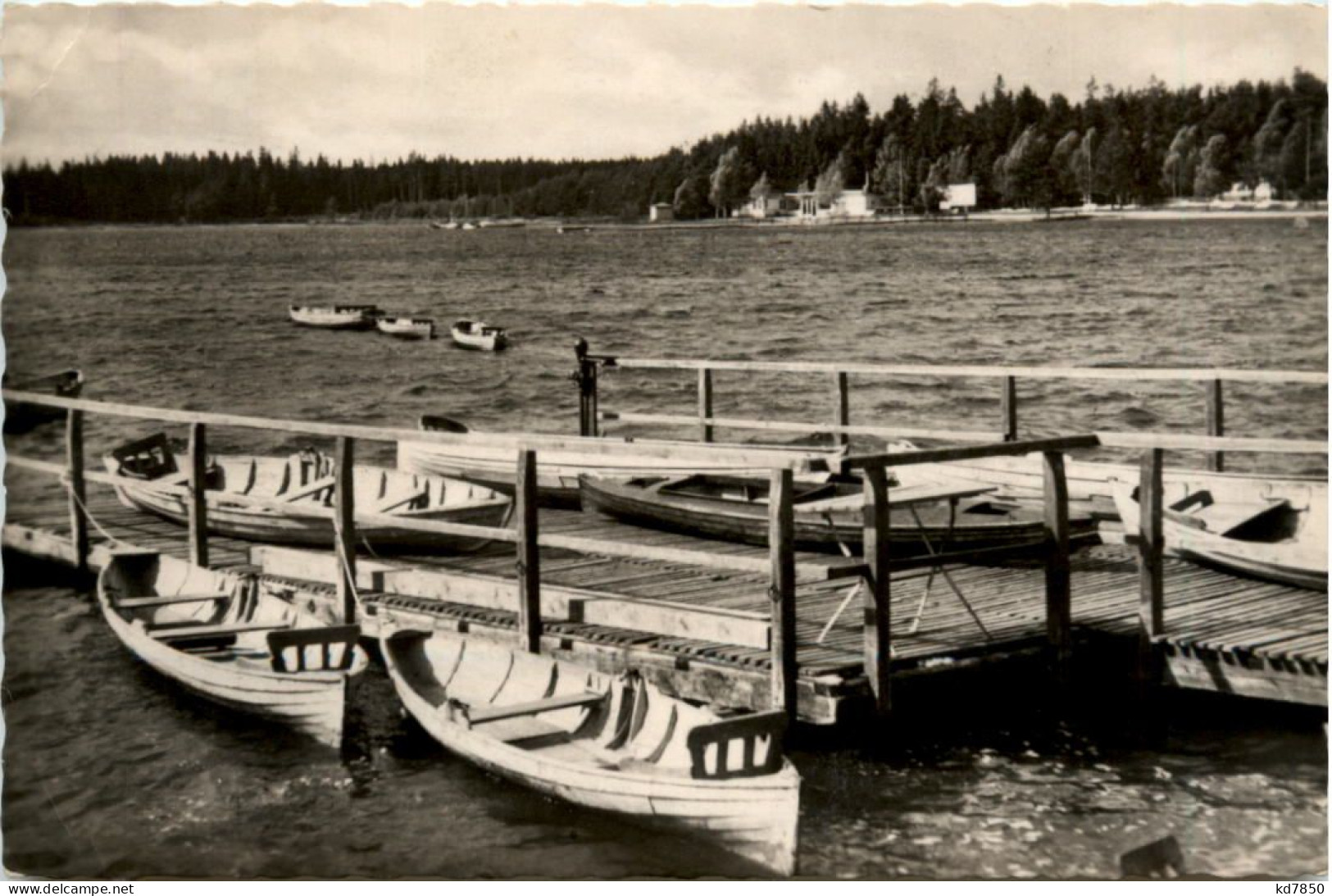 Filzteich Bei Schneeberg - Schneeberg