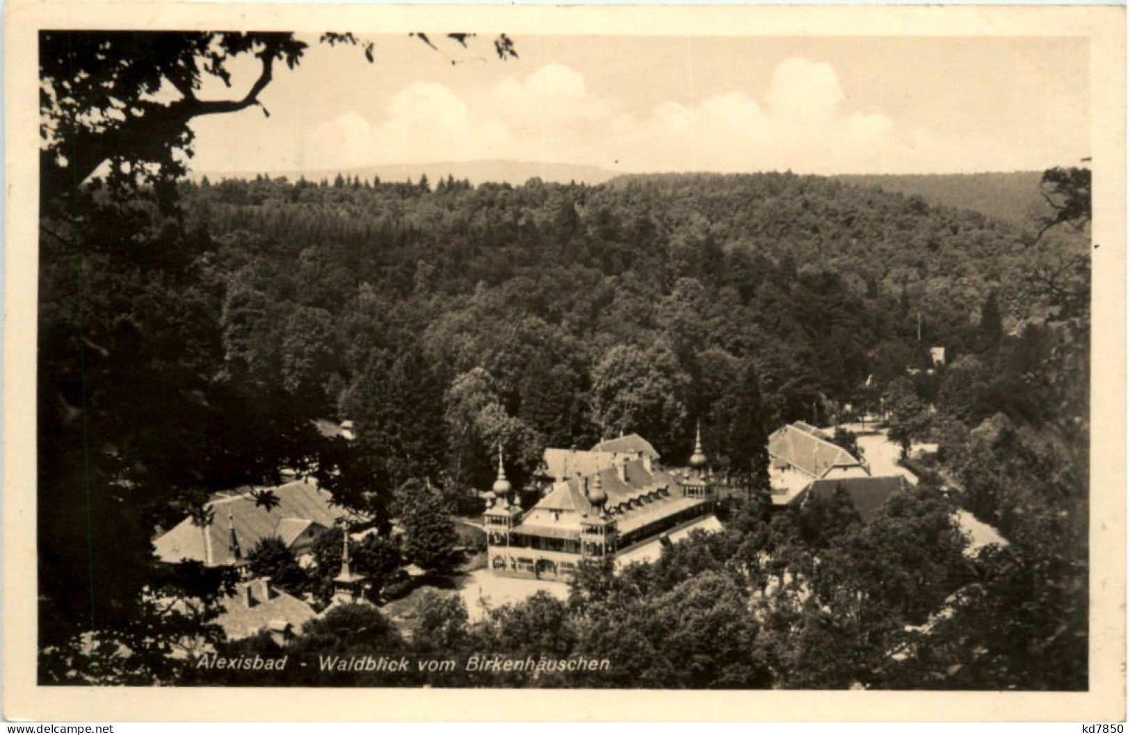 Alexisbad, Waldblick Vom Birkenhäuschen - Harzgerode