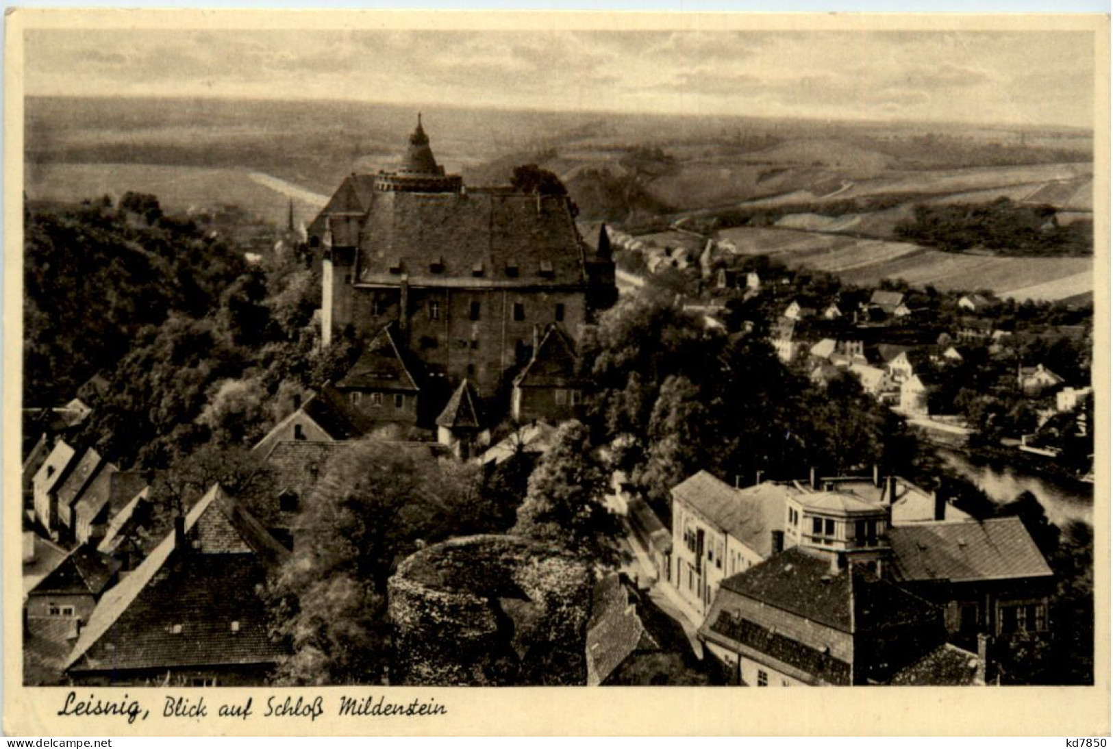 Leisnig, Blick Auf Schloss Mildenstein - Leisnig