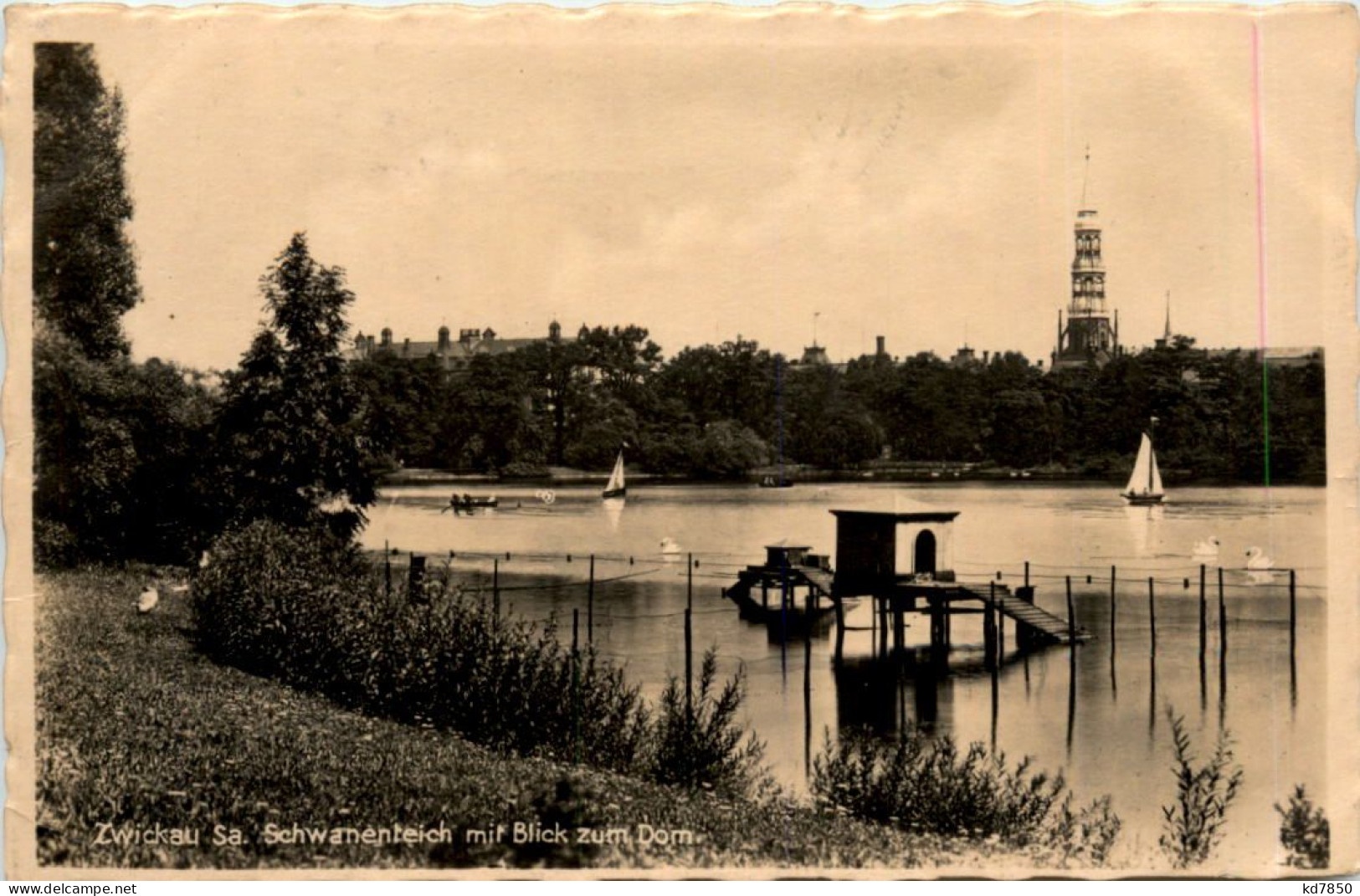 Zwickau, Schwanenteich Mit Blick Zum Dom - Zwickau