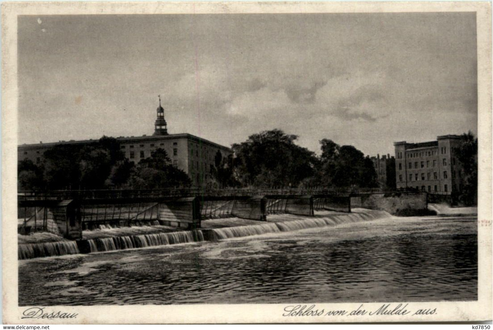 Dessau, Schloss Von Der Mulde Aus - Dessau