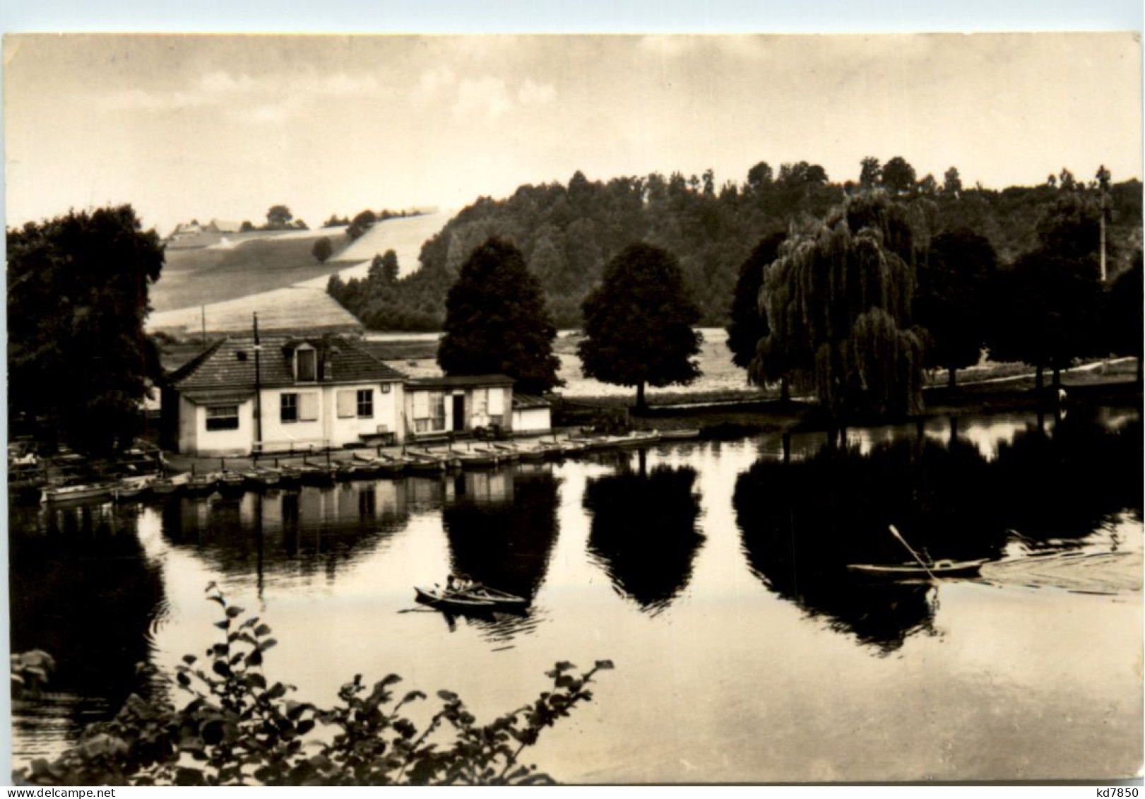 Frankenberg/Sa., Schilfteich - Frankenberg