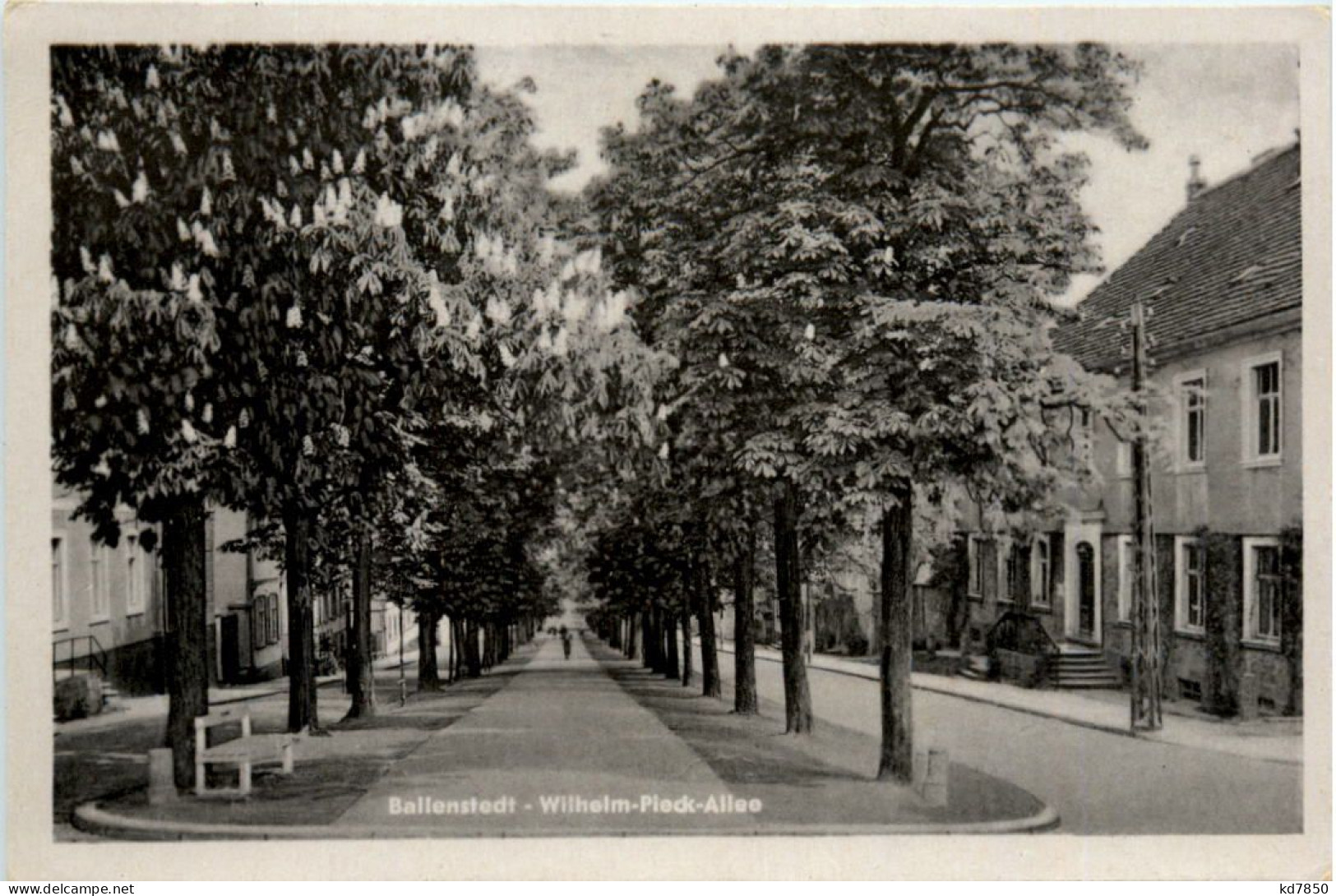 Ballenstedt, Wilhelm-Pieck-Allee - Ballenstedt