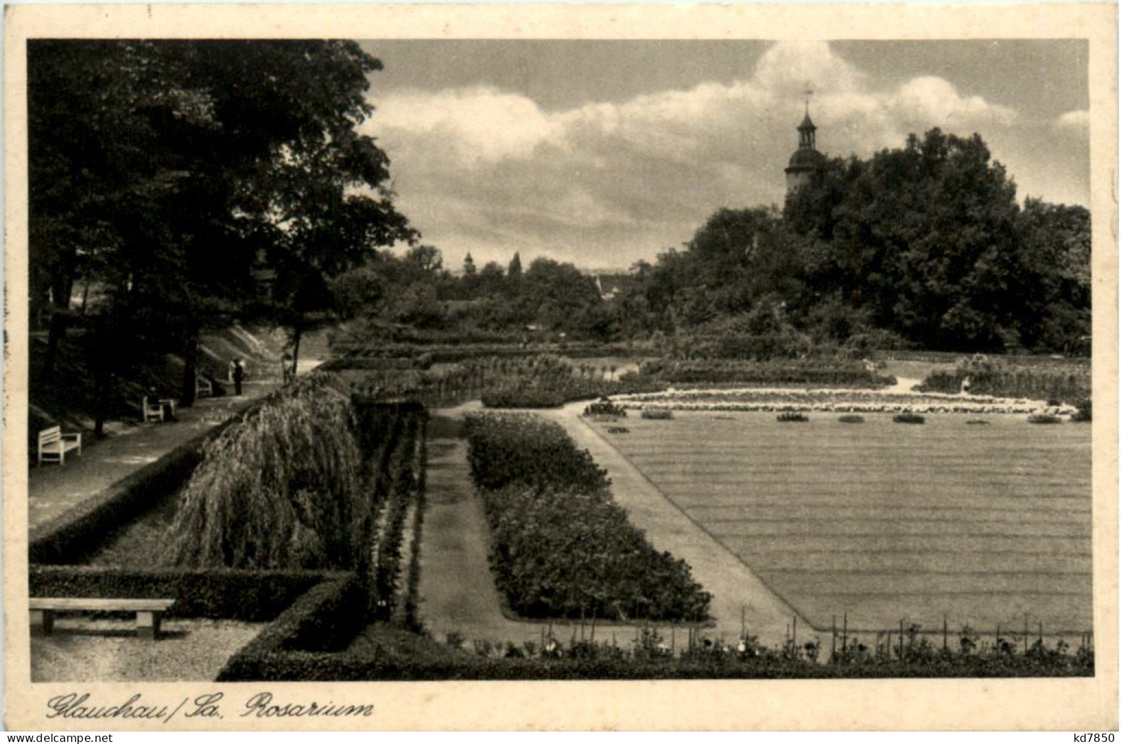 Glauchau, Rosarium - Glauchau