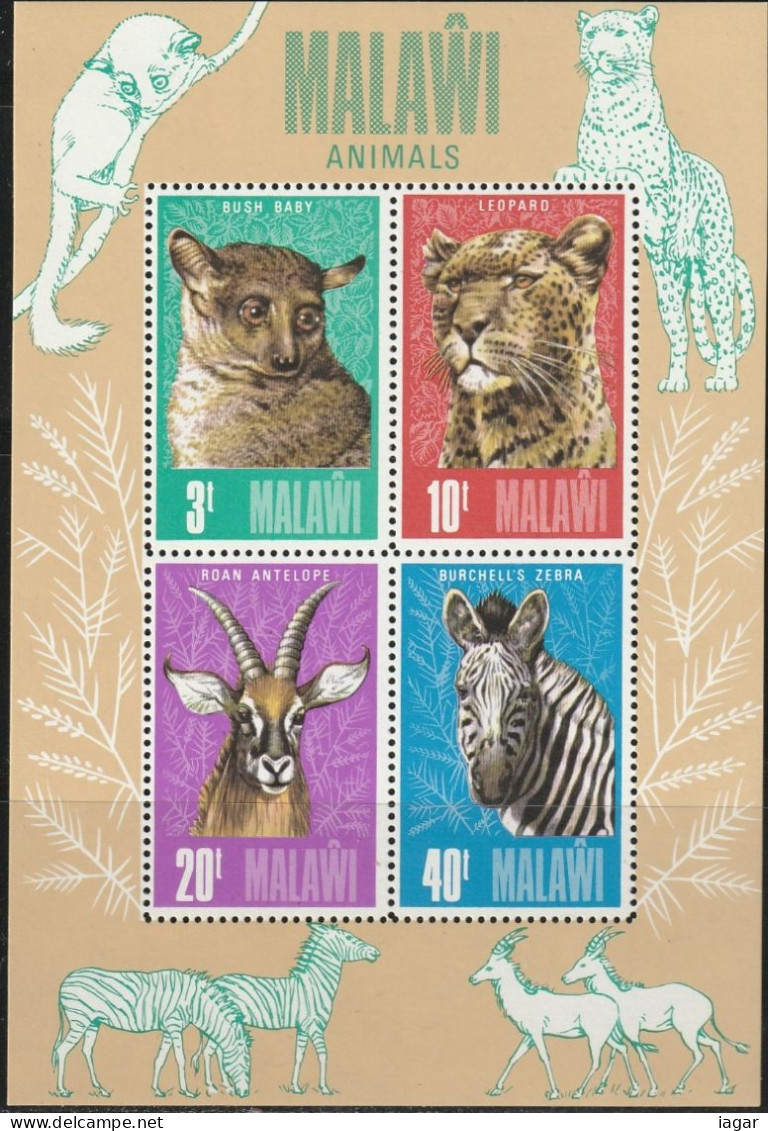 THEMATIC WILD FAUNA:  MALAWI ANIMALS. THICK-TAILED BUSHBABY, LEOPARD, ROAN ANTELOPE, COMMON ZEBRA    MS    -  MALAWI - Big Cats (cats Of Prey)