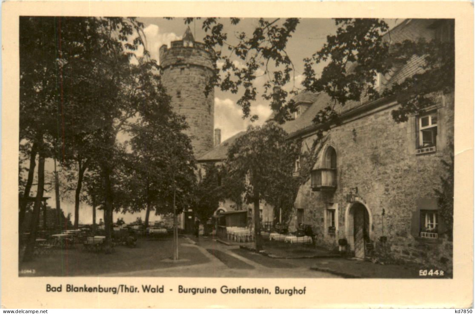 Bad Blankenburg, Burgruine Greifenstein, Burghof - Bad Blankenburg