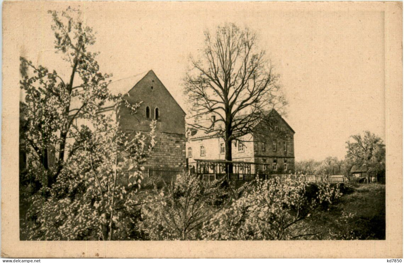 Bad Schandau, Ostrau, Jugendherberge - Bad Schandau