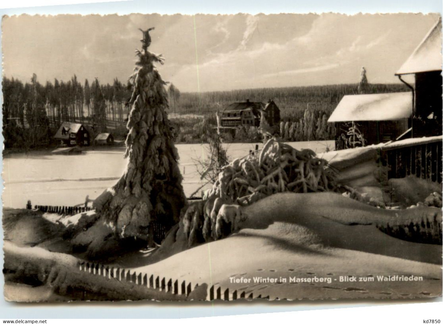 Masserberg, Winter, Blick Zum Waldfrieden - Masserberg