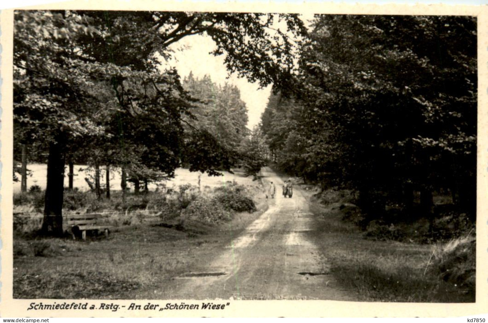 Schmiedefeld A. Rstg., An Der Schönen Wiese - Suhl