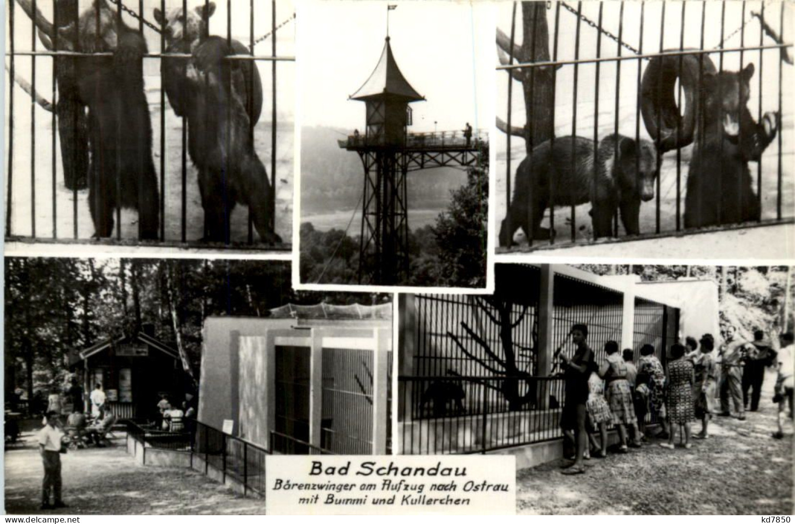 Bad Schandau, Bärenzwinger, Div. Bilder - Bad Schandau