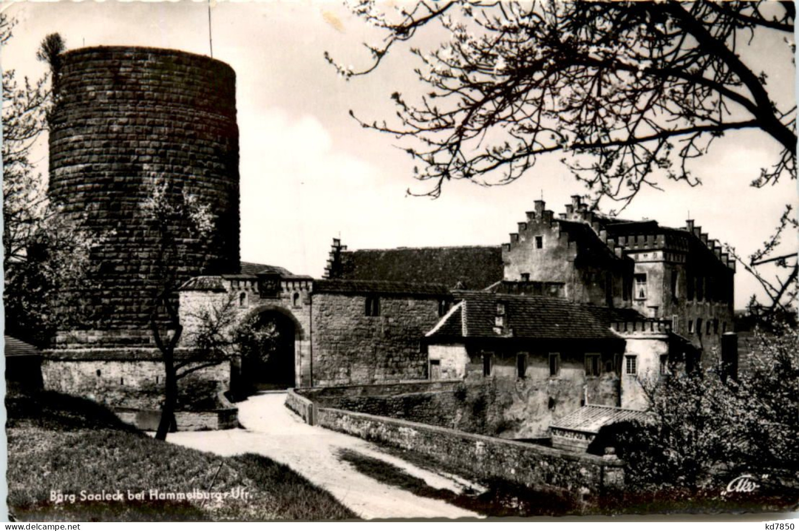 Burg Saaleck Bei Hammelburg - Hammelburg