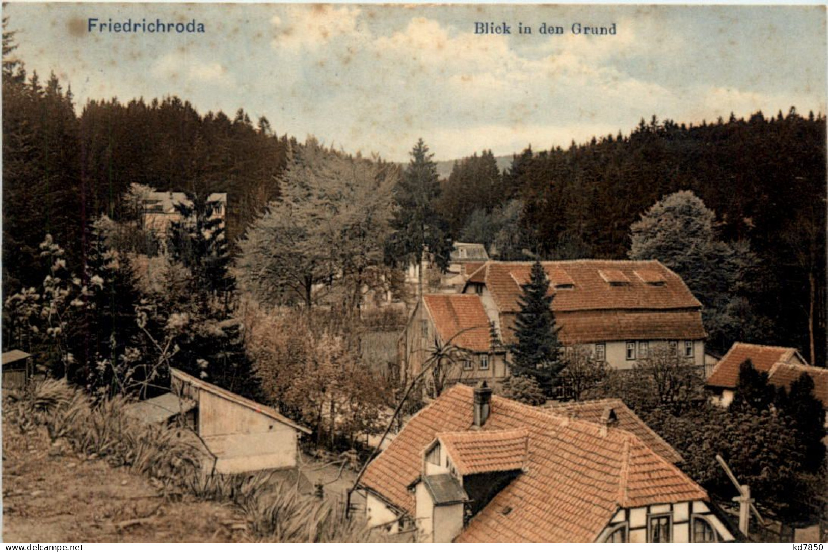 Friedrichroda, Blick In Den Grund - Friedrichroda