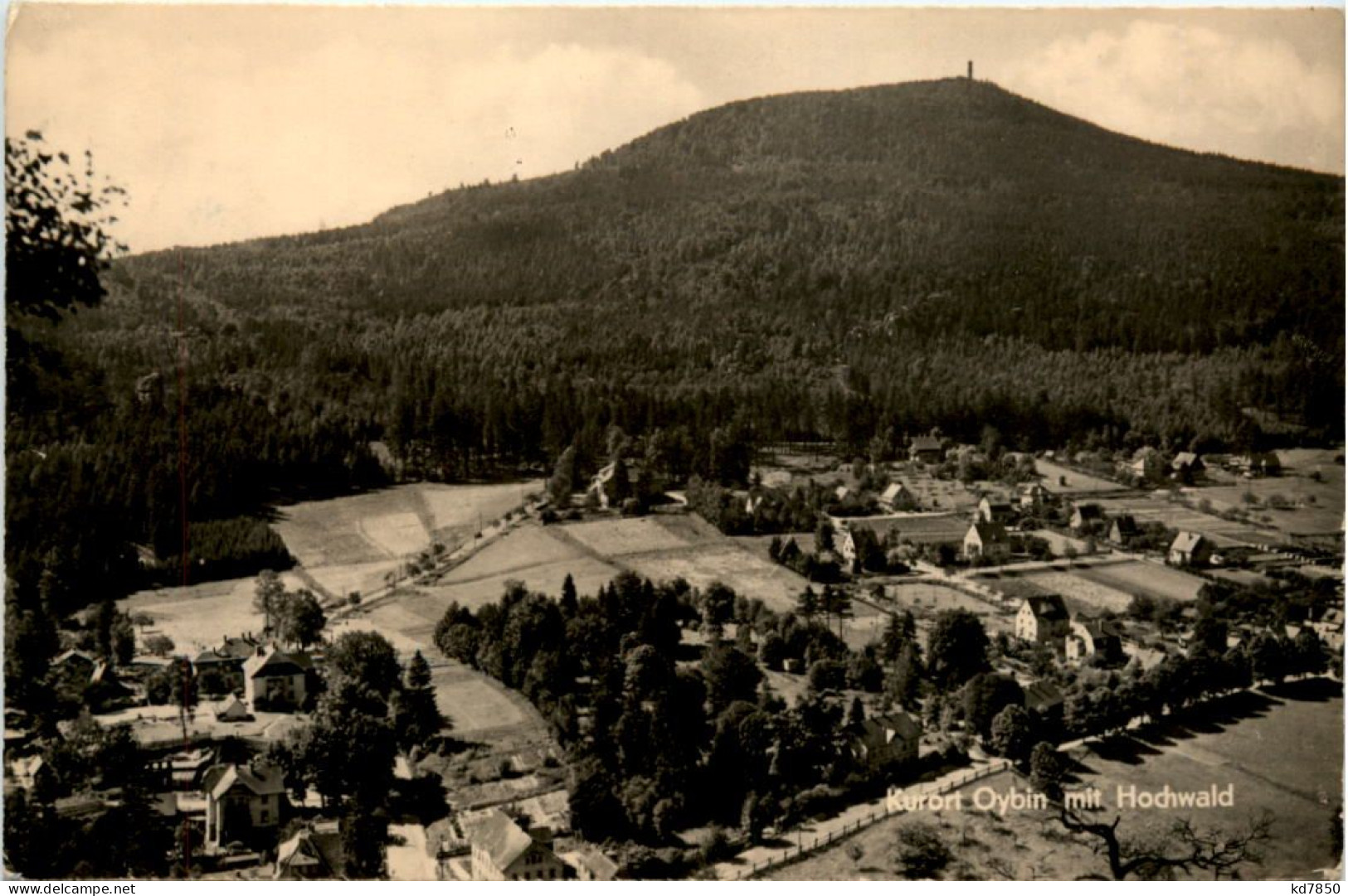 Oybin, Mit Hochwald - Oybin