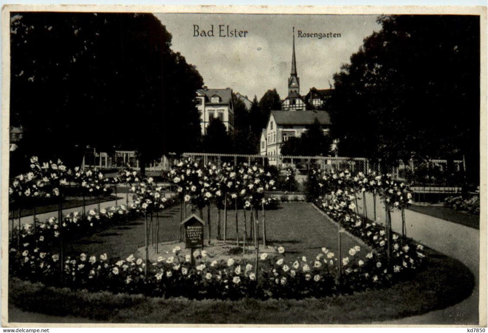 Bad Elster, Rosengarten - Bad Elster