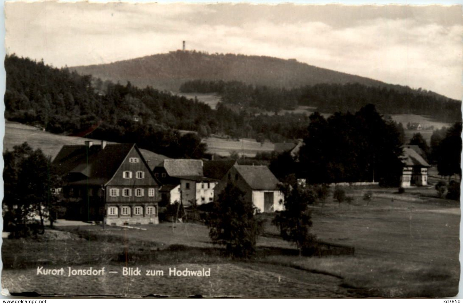 Kurort Jonsdorf, Blick Zum Hochwald - Jonsdorf