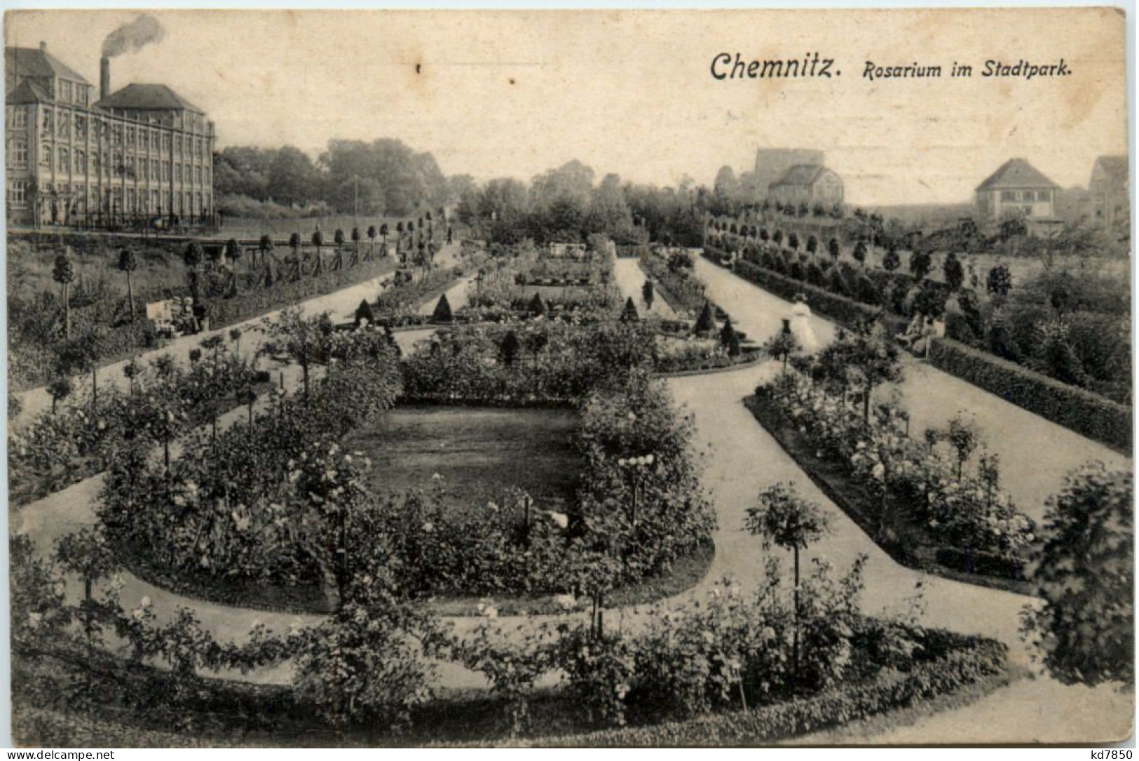 Chemnitz, Rosarium Im Stadtpark - Chemnitz