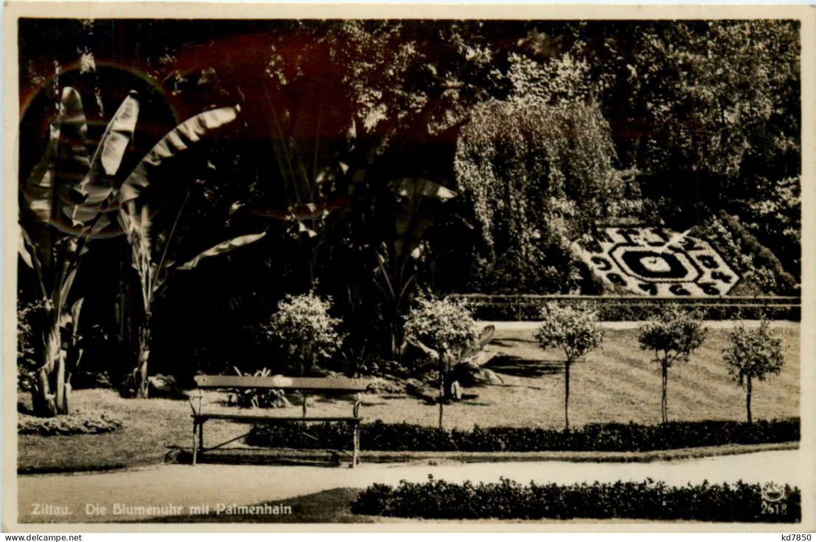 Zittau, Die Blumenuhr Mit Palmenhain - Zittau