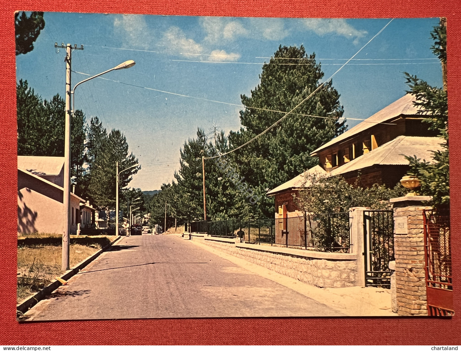 Cartolina - Sila ( Calabria ) - Camigliatello Silano - Viale Dei Villini - 1969 - Cosenza