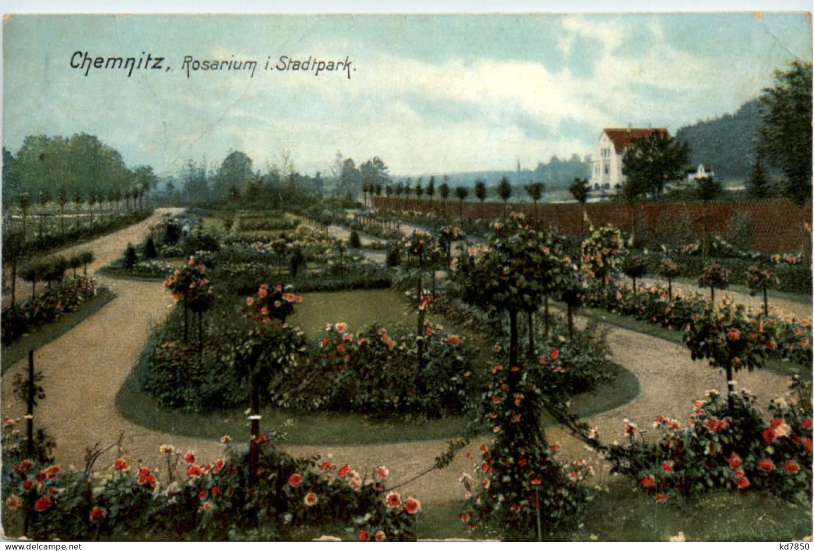 Chemnitz, Rosarium Im Stadtpark - Chemnitz