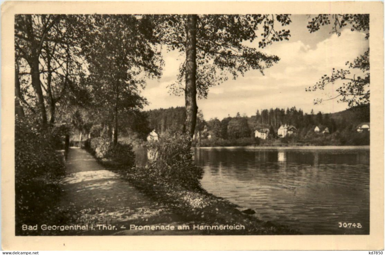 Bad Georgenthal I.Thür., Promenade Am Hammerteich - Georgenthal