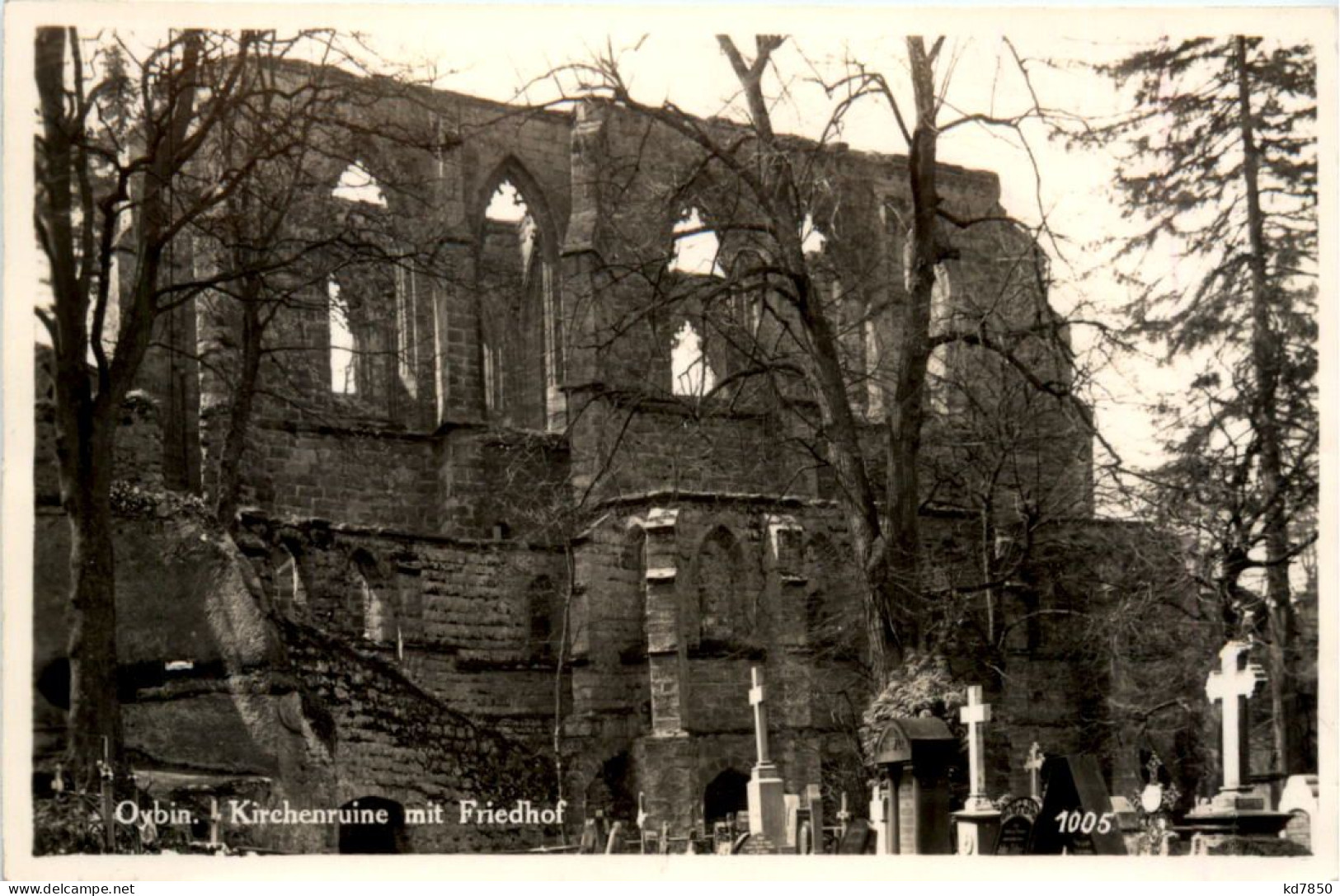 Oybin, Kirchenruine Mit Friedhof - Oybin