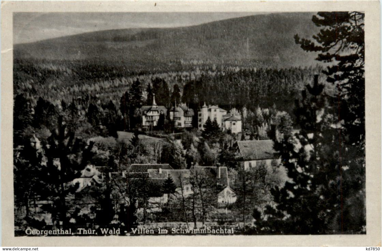 Georgenthal, Villen Im Schwimmbachtal - Georgenthal