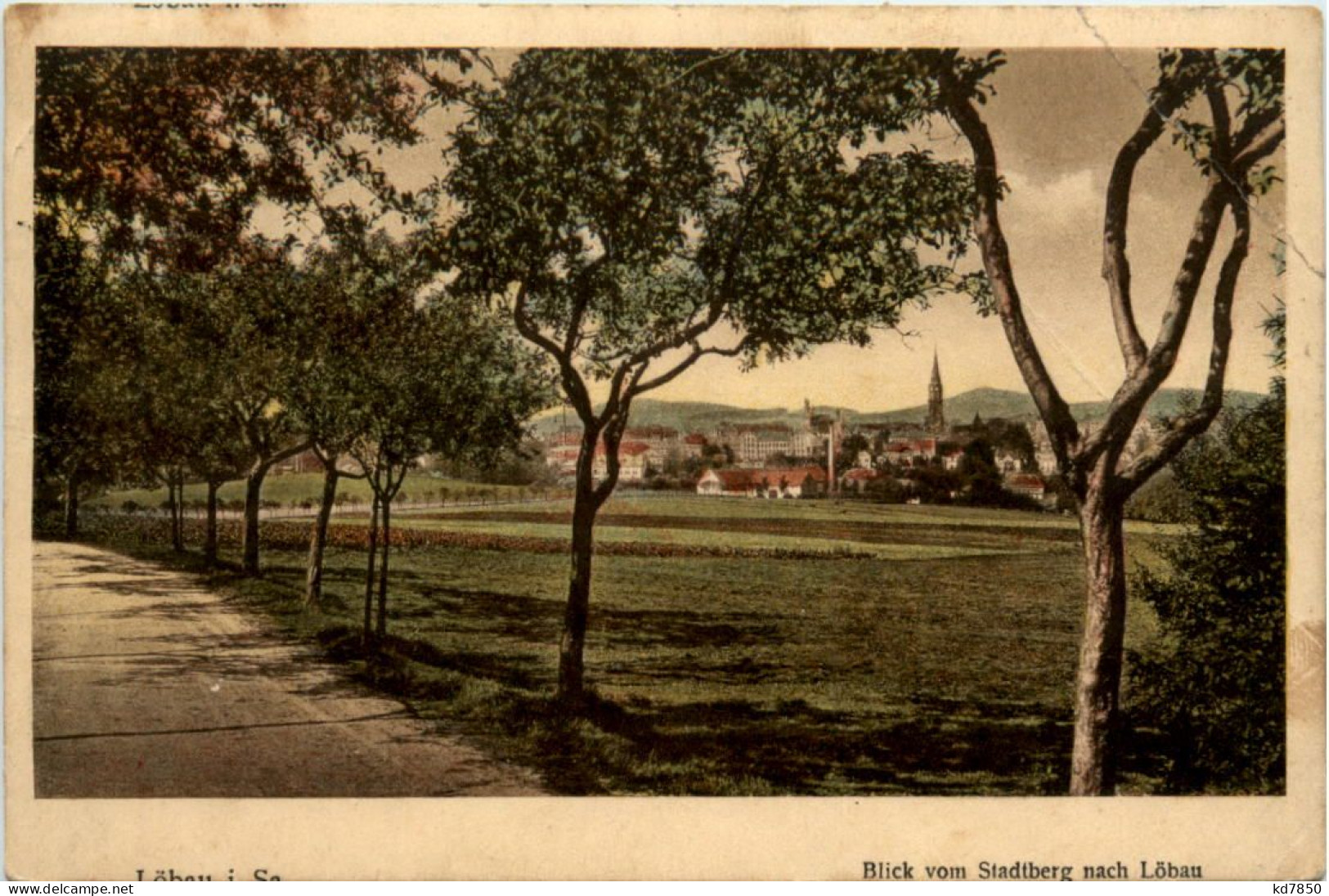 Löbau, Blick Vom Stadtberg - Loebau