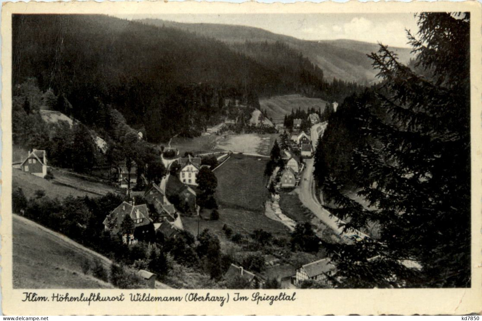 Kurort Wildemann Oberharz, Im Spiegeltal - Wildemann