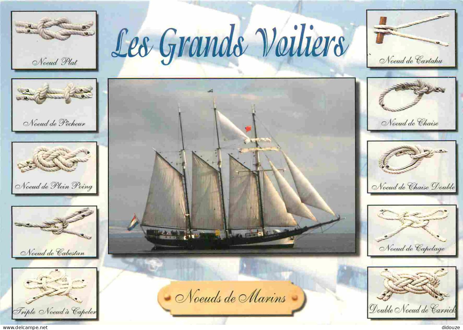 Bateaux - Voiliers - Les Grands Voilers - Nœuds Marins - Multivues - CPM - Voir Scans Recto-Verso - Voiliers