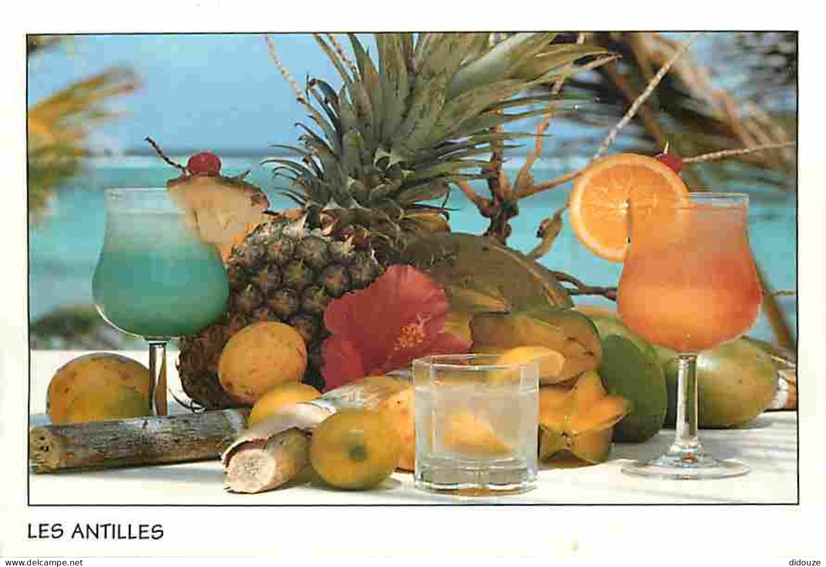 Antilles - Fruits Tropicaux - CPM - Voir Scans Recto-Verso - Sonstige & Ohne Zuordnung
