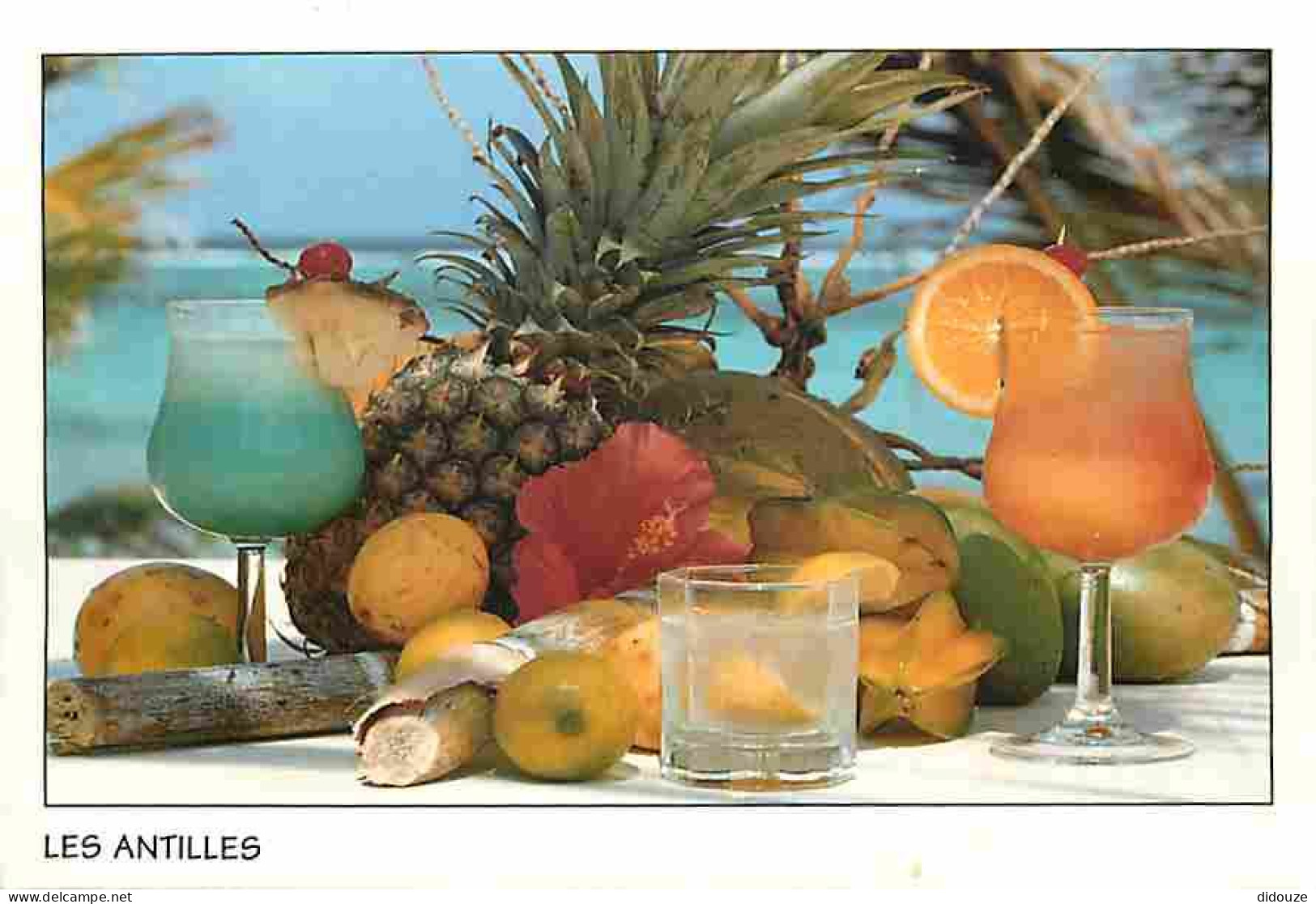 Antilles - Fruits Tropicaux - CPM - Voir Scans Recto-Verso - Andere & Zonder Classificatie