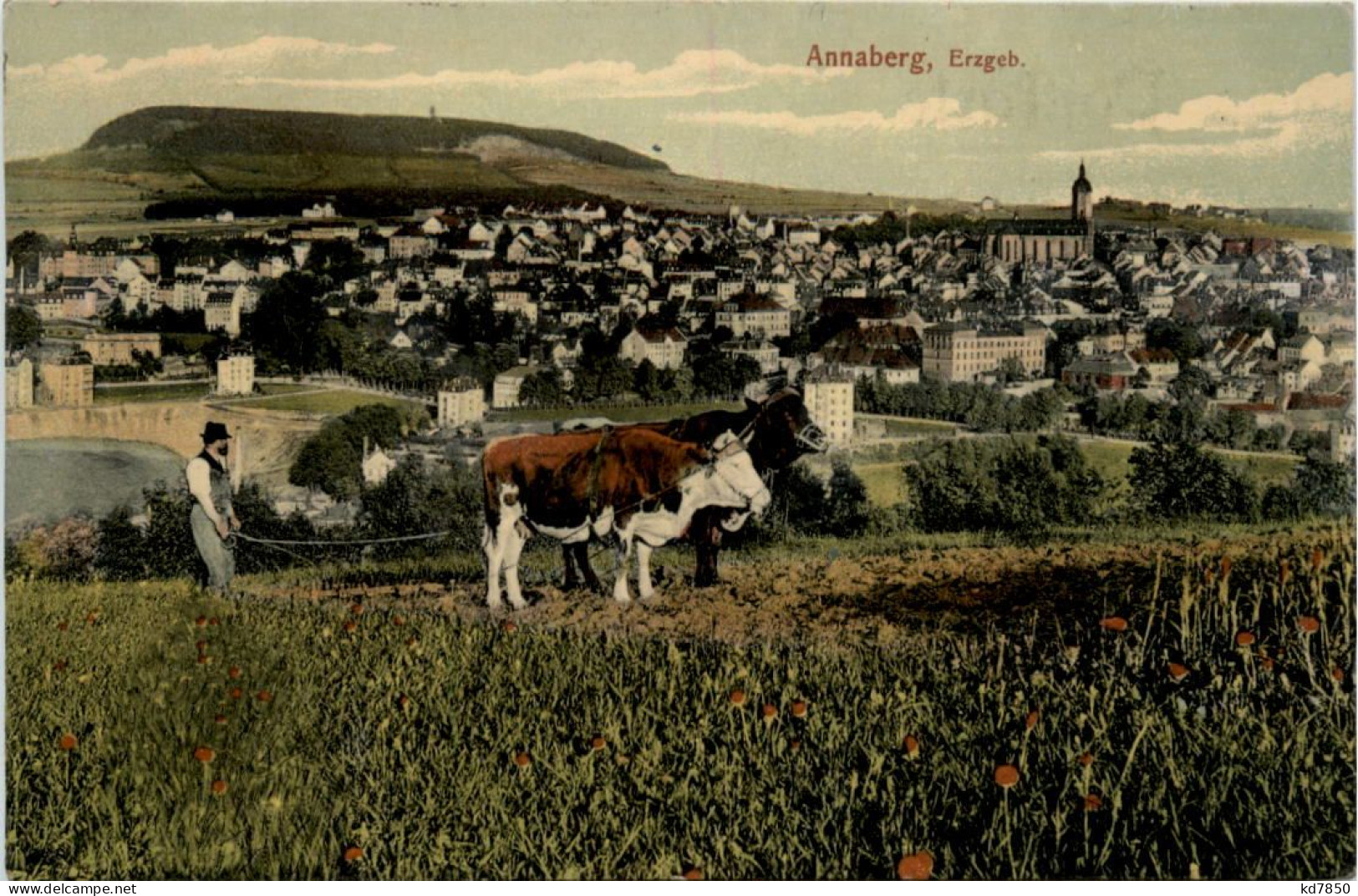 Annaberg I.E., - Annaberg-Buchholz