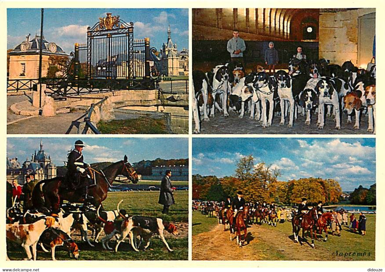 Animaux - Chevaux - Chantilly - Multivues - Le Château - La Meute - Départ De Chasse à Courre - Saint-Hubert - Carte Neu - Pferde