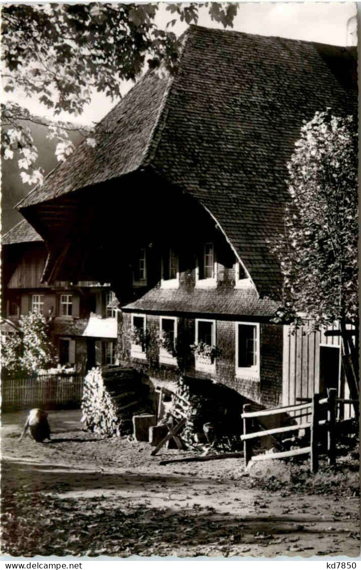 Schwarzwälder Bauernhaus In Menzenschwand - St. Blasien