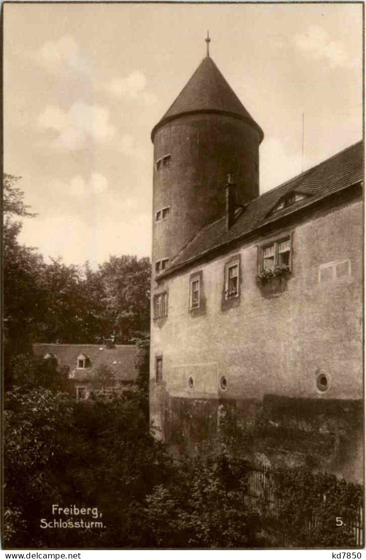 Freiberg, Schlossturm - Freiberg (Sachsen)