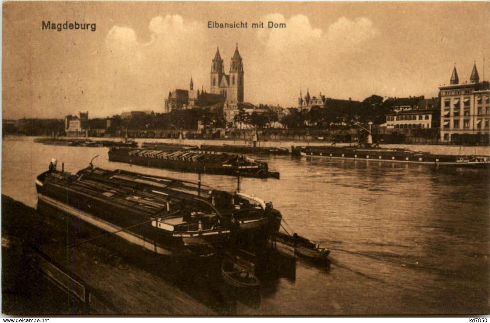 Magdeburg, Elbansicht Mit Dom - Magdeburg