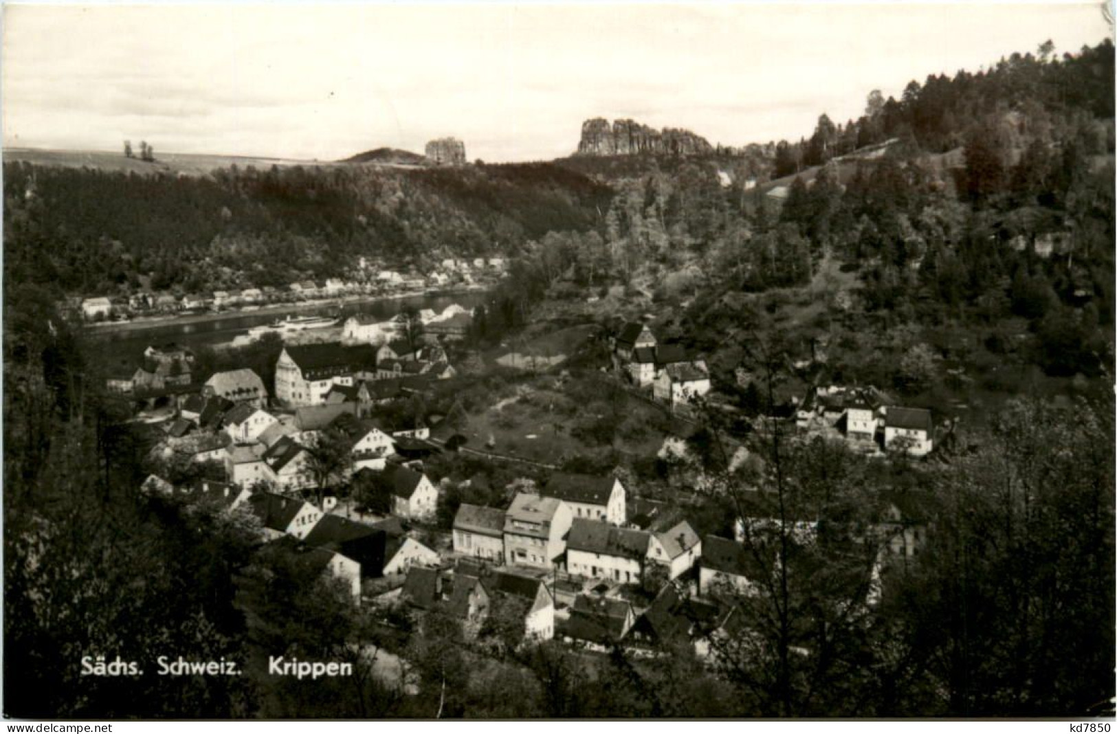 Sächs. Schweiz, Krippen Bei Schandau - Bad Schandau