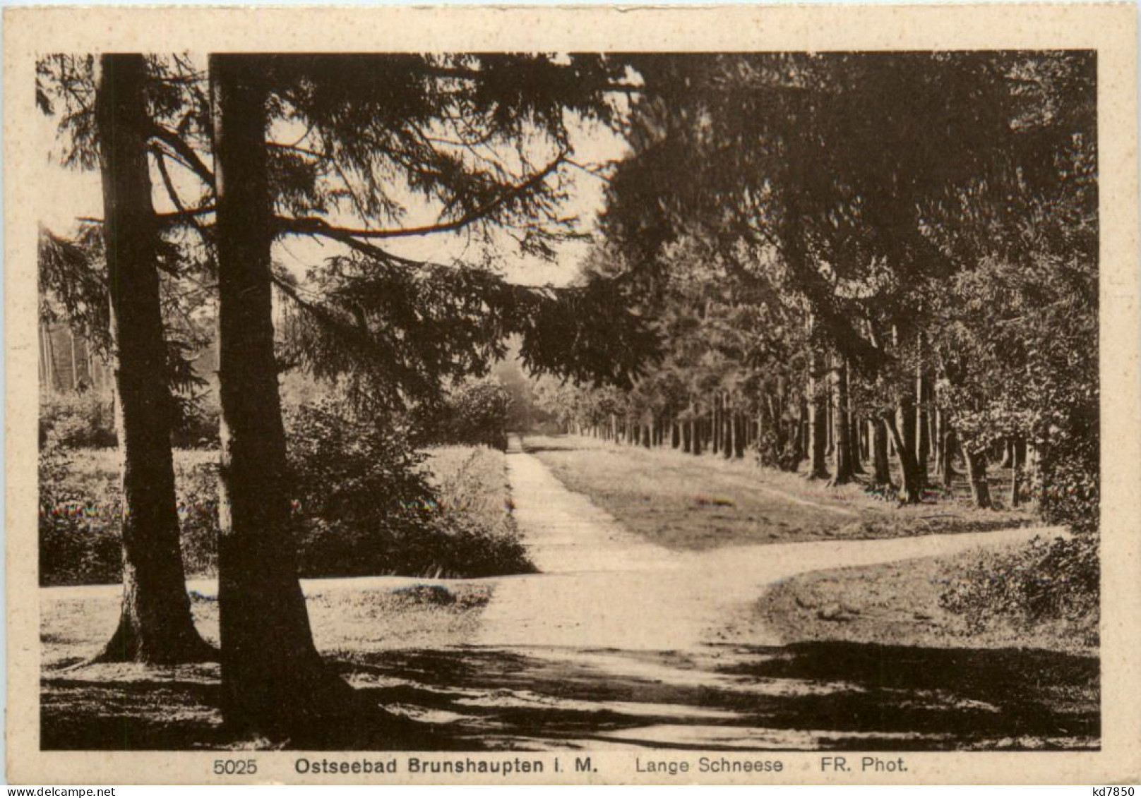 Ostseebad Brunshaupten, Lange Schneese - Kuehlungsborn