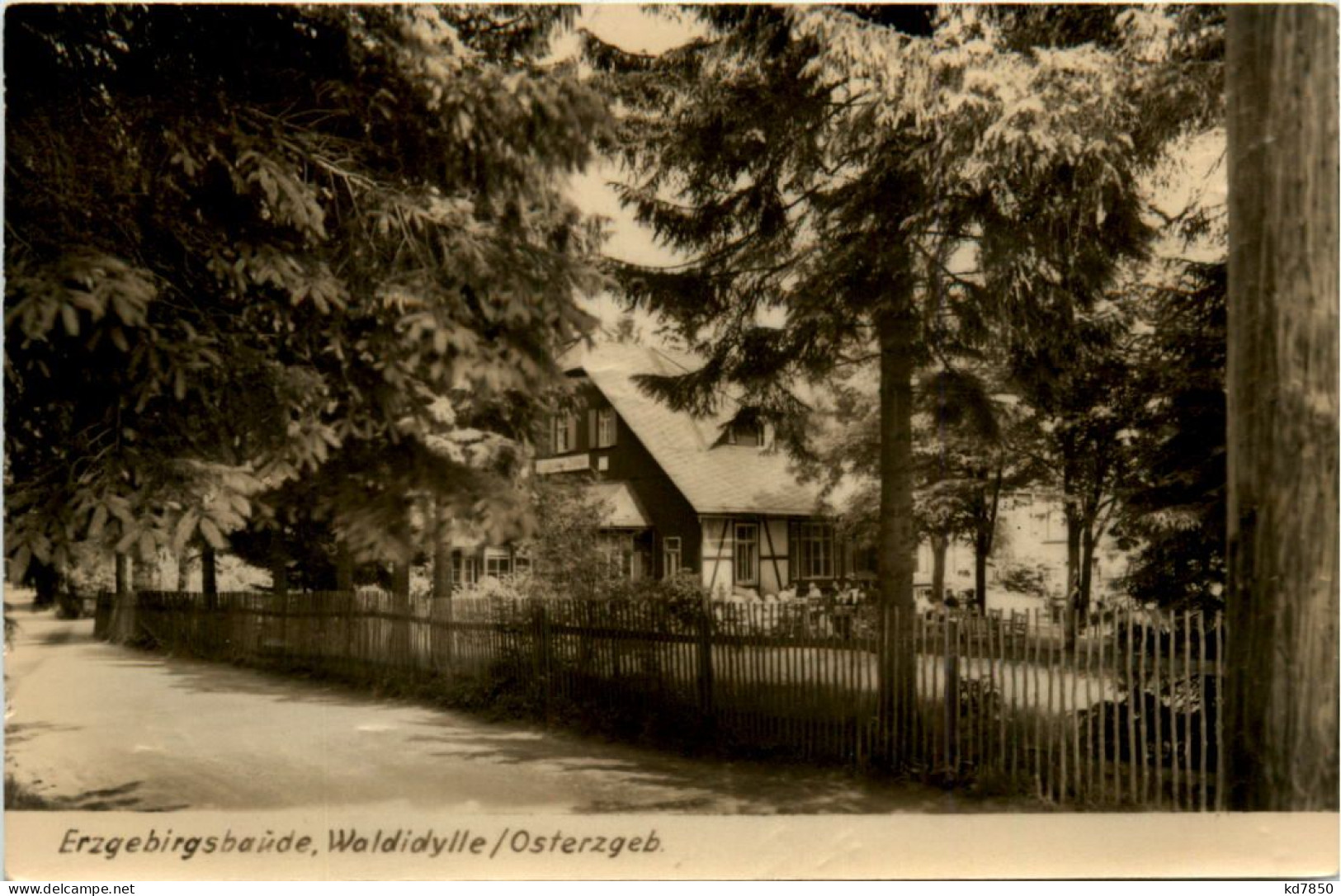 Waldidylle, HOG Erzgebirgsbaude - Altenberg