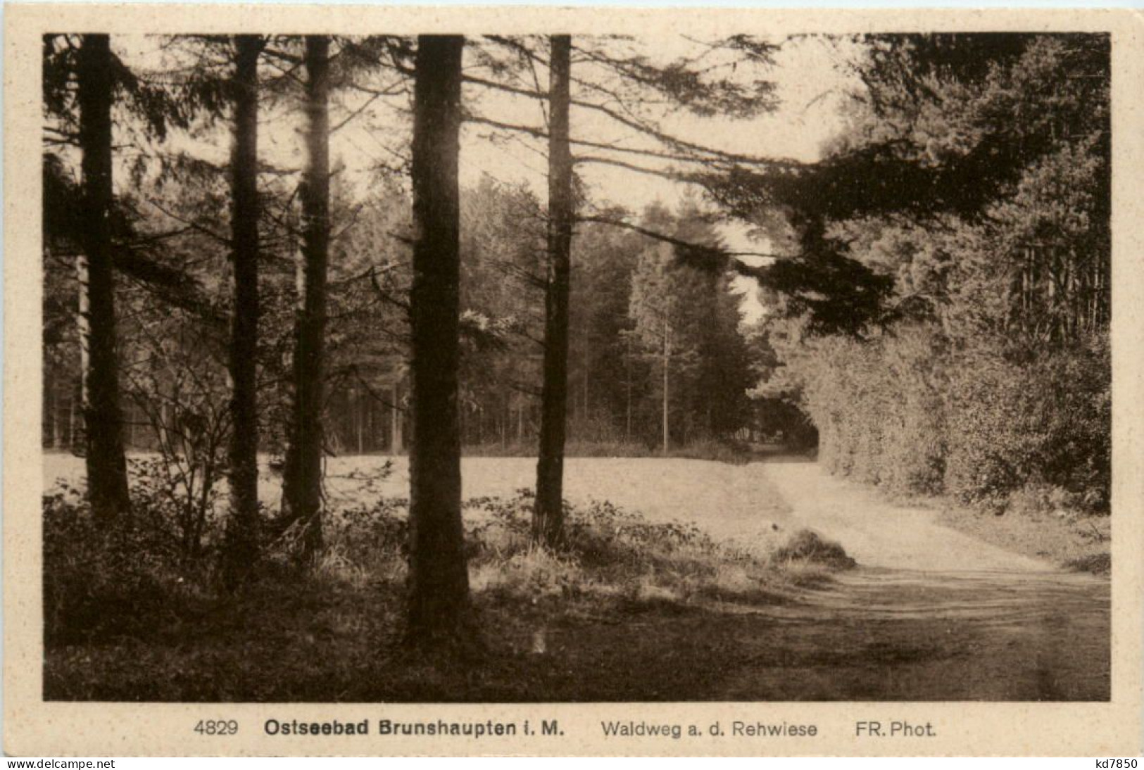 Seebad Brunshaupten, Waldweg An Der Rehwiese - Kuehlungsborn