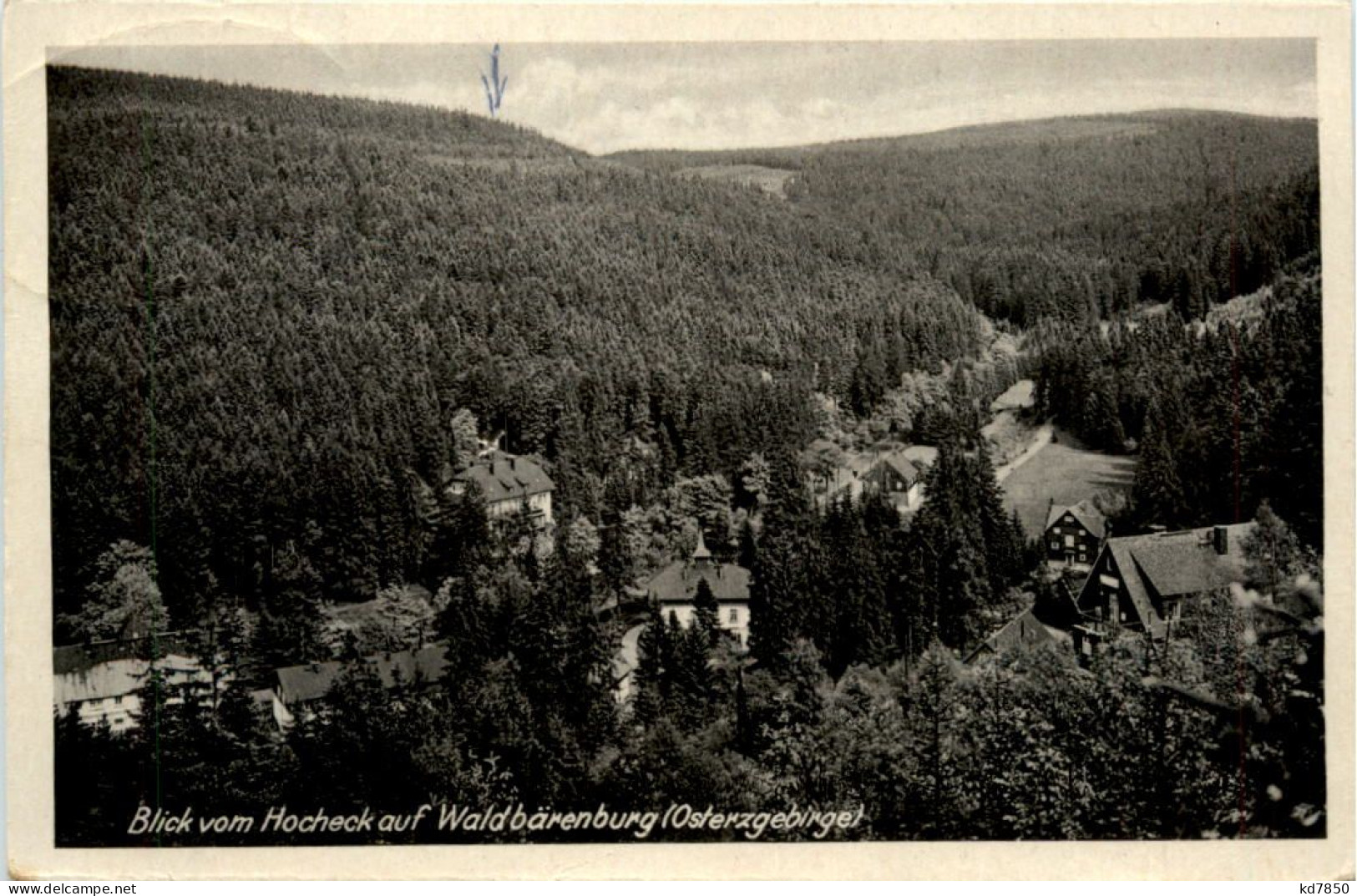 Waldbärenburg, Blick Vom Hocheck - Altenberg