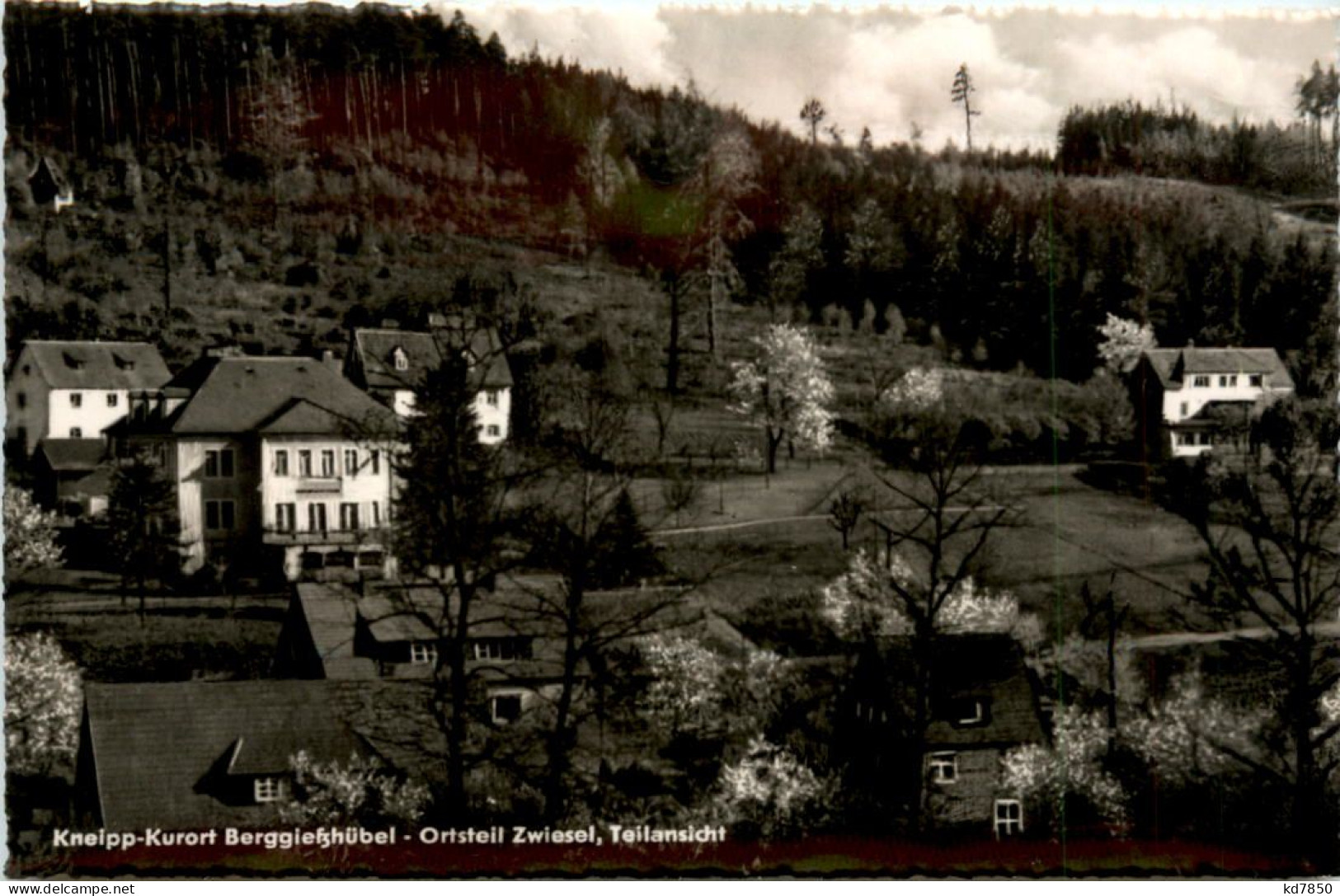 Bad Gottleuba-Berggiesshübel, Ortsteil Zwiesel, Teilansicht - Bad Gottleuba-Berggiesshuebel