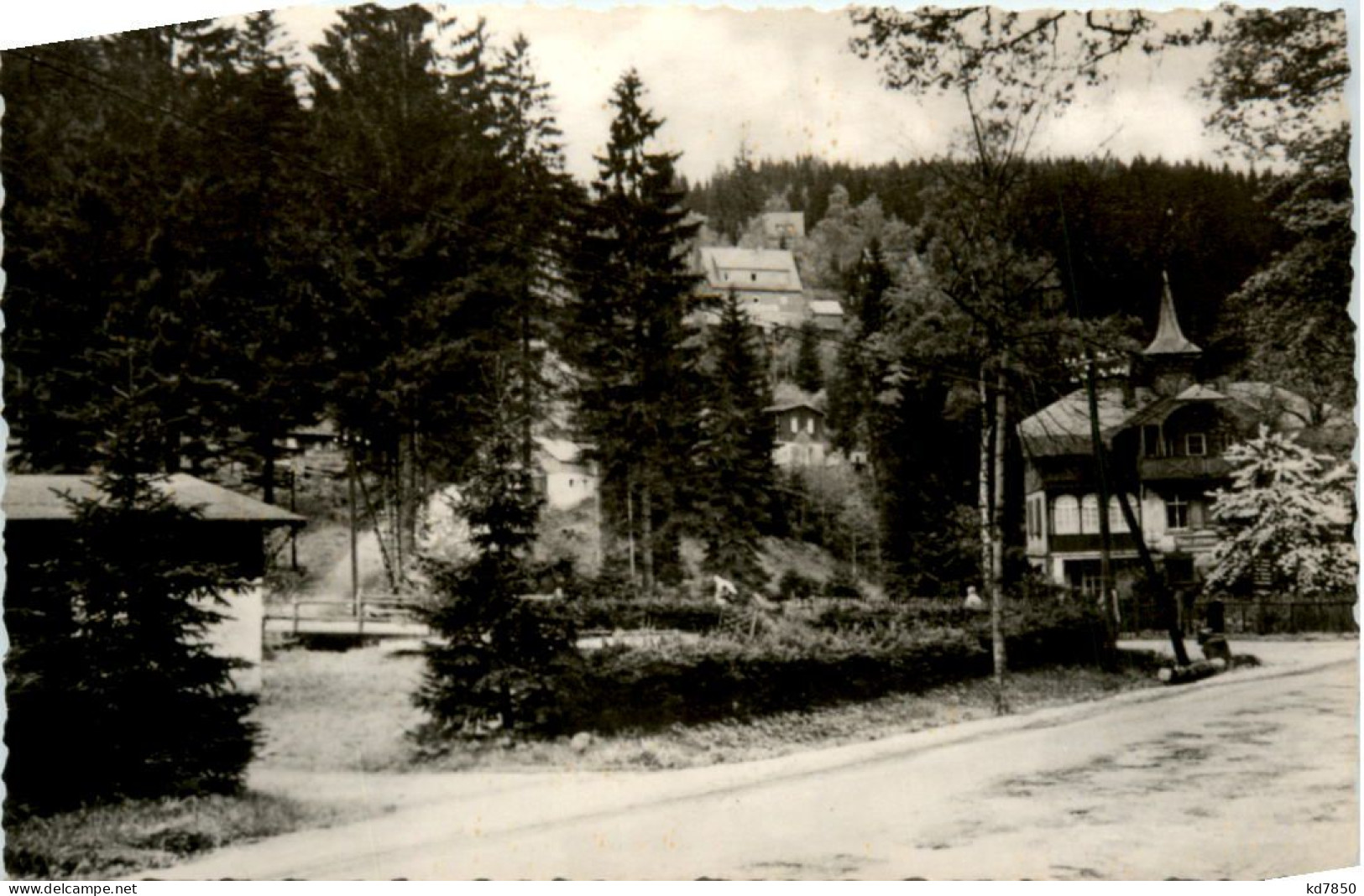 Waldbärenburg - Altenberg