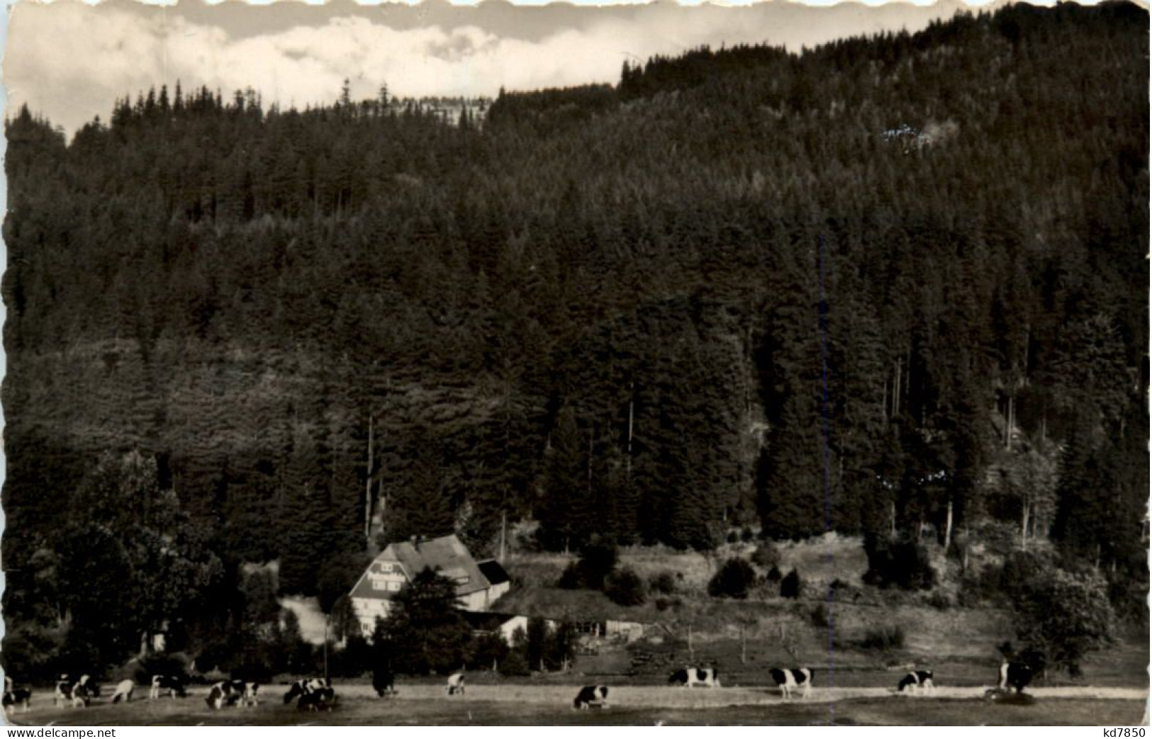 Schmiedeberg, Blick Auf Die HO-Gaststätte Putzmühle I. Oberen Pöbeltal - Dippoldiswalde